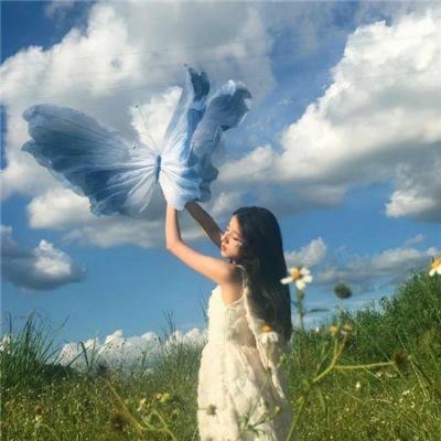 夏日恋曲